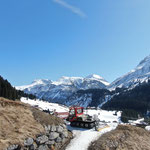 Snow Rabbit am Zuger Panoramaweg