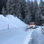 Pistenbully 100 beim Präparieren der kombinierten Langlauf- und Winterwanderwegloipe am Omesberg