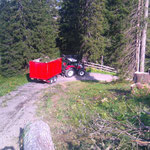 Holzschlägerungs- und Aufräumarbeiten Waldabfahrt