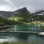 Grüner Ring: Steg Zürsersee Aufbau