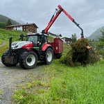 Astwerk einfassen Strass
