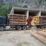 Gemeinde Rundholz-Verkauf, verladen beim Heizwerk Zug