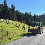 Traktor 6190 CVT mit Kehrmaschine auf dem Weg Richtung Zugertal
