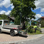 Gärtnerarbeiten Omesberg