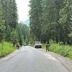 Zaun stellen Zuger Straße