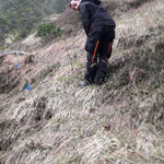 Wildverbissschutzmanschetten anbringen, Aufforstung hinter dem Bauhof