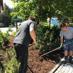 Blumeninseln frischen Rindenmulch ausbringen