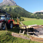 Drittleistung, Holztransport am Omesberg