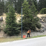 Ortsverschönerung am Ortseingang