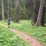 Mäharbeiten Fitnessparcour