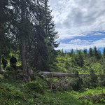 Forstarbeiten