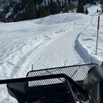 Snow Rabbit auf dem Weg zum Bauhof