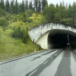 Müllzwicken L198