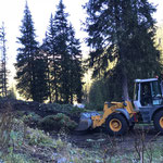 Blumenerde-Deponie Hoher Steg aufschieben, mit Heizwerk Zug-Lader