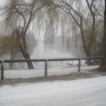 17 dicembre 2010 "nevica"