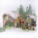Cows 05/20 30X30CM