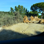 Parc Africaine de Sigean