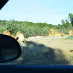 Parc Africaine de Sigean