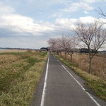 印旛沼サイクリングコース