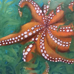 Octopus im Kelp / Öl auf Leinwand / 70 x 100 cm 2023