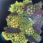 Pilzkorallen / Öl auf Leinwand / 100 x 100 cm 2024 