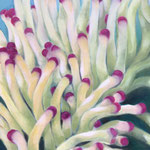 Anemonen / Öl auf Leinwand 80 x 100 cm 2019