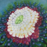 Blumenanemone / Öl auf Leinwand 50 x 60 cm 2023 