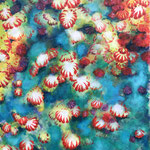 Ohne Titel / Öl auf Leinwand 50 x 60 cm 2020