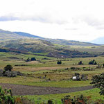 Die Hochfläche vor dem Nationalpark, die typische Landschaft in Ecuador, Wiesen übe Wiesen über Wiesen und keine Bäume.