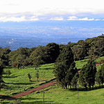 Schwarzwaldlanschaft um den Nationalpark Volcano Poas herum, Blick auf das Tal von San Jose/Alajuela.