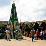 Der Bauernmarkt hat einen witzigen Weihnachtsbaum, komplett aus alten Plastikflaschen gefertigt - das ideale recycling.