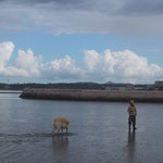 Sandymount Strand (2009年撮影／MINAMITANI)