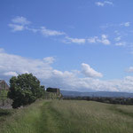 Phoenix Park, Dublin （2009年6月撮影／MINAMITANI）