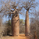 Madagaskar