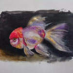 GOLDFISH／watercolor on paper