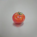 TOMATO／watercolorpencils on paper
