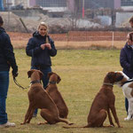 Chantal mit Dayo, Nadine mit Nala und Thomas mit Bhanu