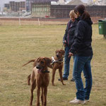 Chantal mit Dayo und Nicole mit Zina