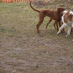 Dayo und Bernardiner Cheyo