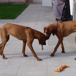 Zina und Dayo