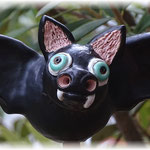 kleine Fledermaus