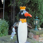 Königspinguin