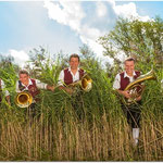 Tenorhorn/Bariton: Michael Settele, Tobias Mohr, Matthias Weber, Martin Kaufmann und Margit Berkmiller (v.l.n.r.)