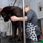 Labbi Wellness / Foto Bildfaenger.eu