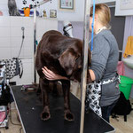Labbi Wellness / Foto Bildfaenger.eu