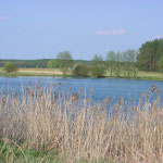 Torfsee Naturpark Nuthe-Nieplitz