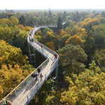 Baumkronenpfad Beelitz - BaumundZeit.de