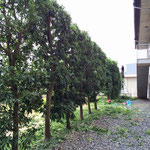 公共物管理作業4