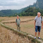 Retour de Houay Bo à Muang Ngoi à travers les rizières