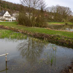 Der kleine Forstwaldteich am Nachmittag (Foto: B. Budig)